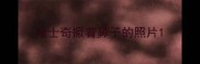 哈士奇撅着鼻子的照片