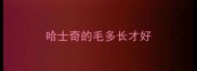 哈士奇的毛多长才好