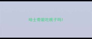 哈士奇能吃桃子吗