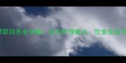 两个月大的萨摩耶饲养全攻略幼犬护理要点饮食疫苗与行为训练指南