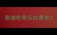 泰迪吃骨头吐黄水