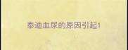 泰迪血尿的原因引起