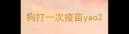 狗打一次疫苗yao