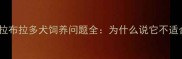 10大挑战拉布拉多犬饲养问题全为什么说它不适合新手养