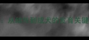 柯基犬成长全从幼年到成犬的发育关键期与饲养指南