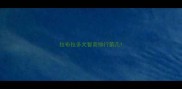 拉布拉多犬智商排行第几