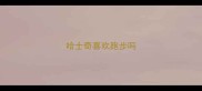 哈士奇喜欢跑步吗
