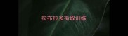 拉布拉多衔取训练