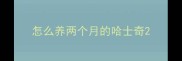 怎么养两个月的哈士奇