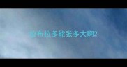 拉布拉多能张多大啊