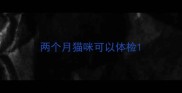 两个月猫咪可以体检