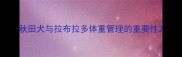 秋田犬与拉布拉多体重管理的重要性