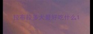 拉布拉多犬最好吃什么