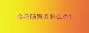 金毛肠胃炎怎么办