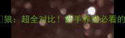 哈士奇VS狼超全对比新手养宠必看的伪狼种真相