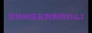 因特网疫苗狗狗用的么