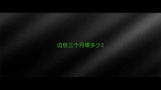边牧三个月喂多少