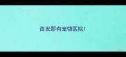 西安那有宠物医院