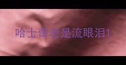 哈士奇老是流眼泪