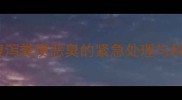 泰迪犬呕吐腹泻粪便恶臭的紧急处理与科学养护指南