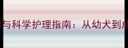 雪纳瑞洗澡的最佳时间与科学护理指南从幼犬到成年的全周期养护方案