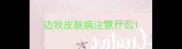 边牧皮肤病注意什么