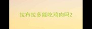 拉布拉多能吃鸡肉吗