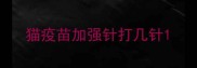 猫疫苗加强针打几针