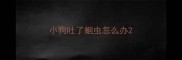 小狗吐了蛔虫怎么办