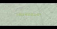 小狗怎样吸氧合适
