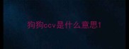 狗狗ccv是什么意思