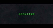 浅红色哈士奇蓝眼