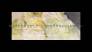 哈士奇爪垫颜色变化全正常颜色与异常症状及护理指南