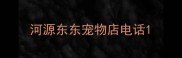 河源东东宠物店电话