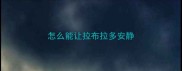 怎么能让拉布拉多安静
