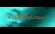 家养猫需要打狂犬疫苗