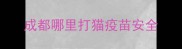 成都哪里打猫疫苗安全