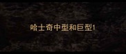 哈士奇中型和巨型