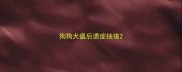 狗狗犬瘟后遗症抽搐