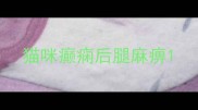 猫咪癫痫后腿麻痹
