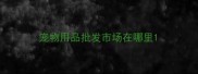 宠物用品批发市场在哪里