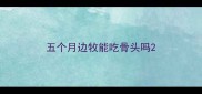 五个月边牧能吃骨头吗