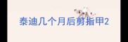 泰迪几个月后剪指甲