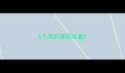 5个月萨摩耶体重