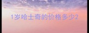 1岁哈士奇的价格多少