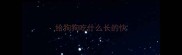 给狗狗吃什么长的快