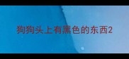 狗狗头上有黑色的东西