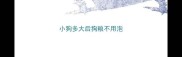 小狗多大后狗粮不用泡