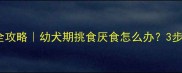 小哈士奇喂狗粮全攻略幼犬期挑食厌食怎么办3步养成易养活小狼狗