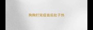 狗狗打完疫苗后肚子热